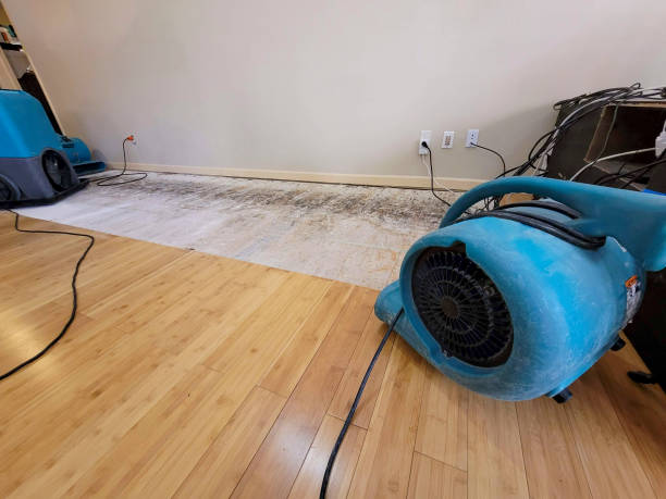 Professional Sewage Cleanup technician working in Bryson, TX